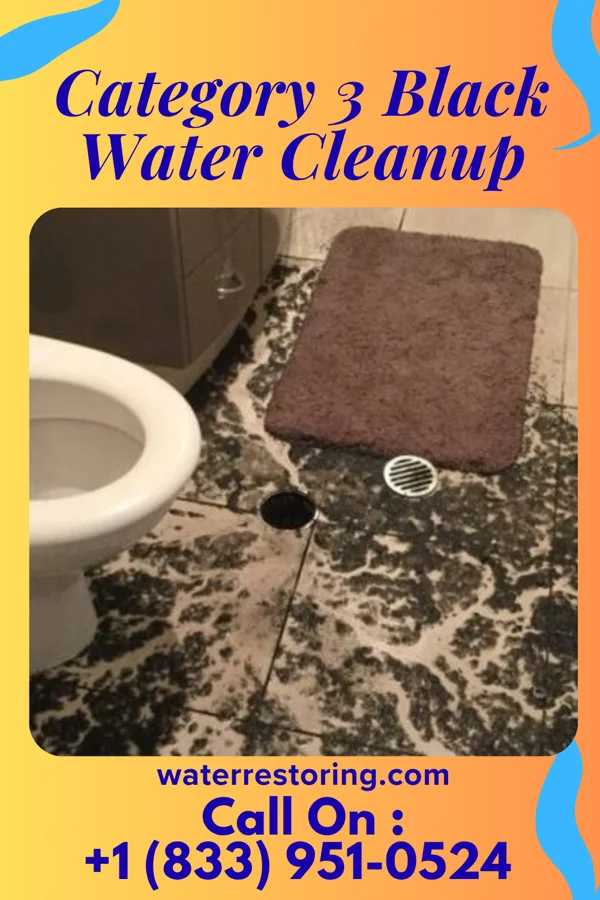 Category 3 Black Water Cleanup in El Brazil, TX