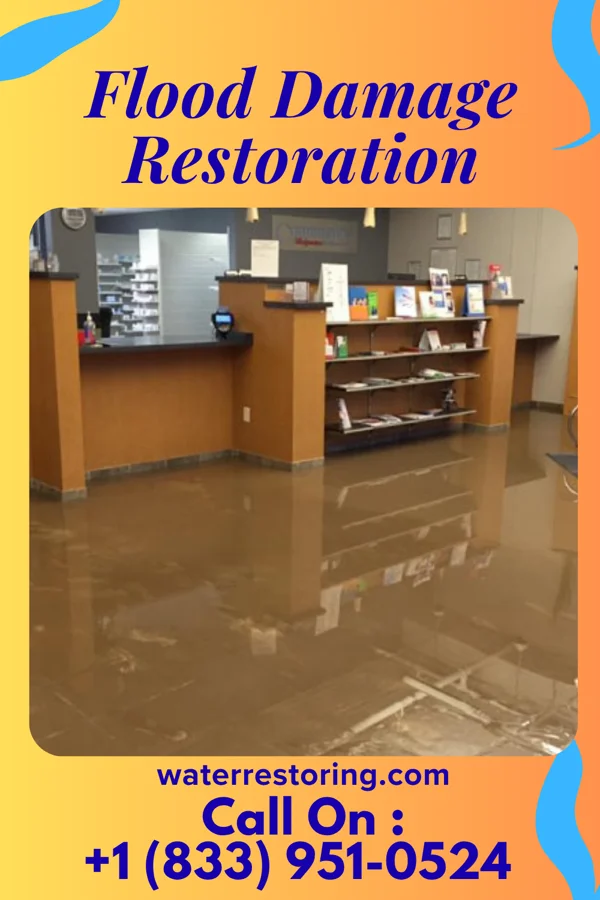Flood Damage Restoration in El Brazil, TX